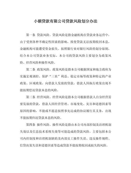 个人贷款企业使用风险及应对策略