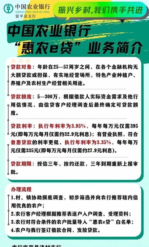 村办企业，银行贷款背后的发展与挑战