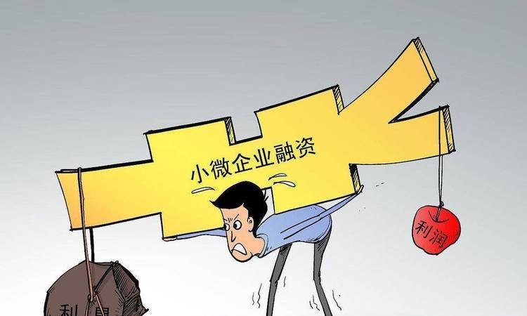 小微企业贷款抗风险能力差，困境与出路