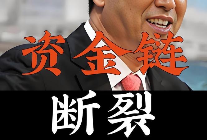 企业在资金链断裂时增加银行贷款，风险与机遇并存