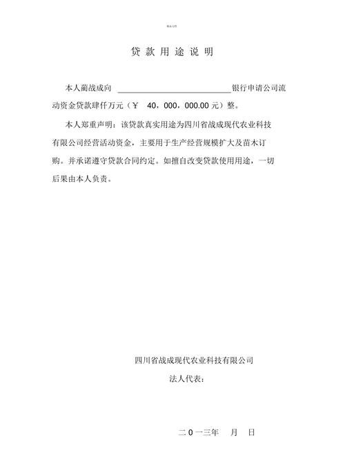 企业贷款资金用途情况说明