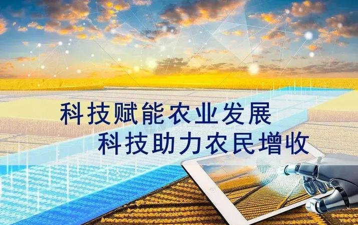 探索龙泉农业企业土地抵押贷款的发展与创新