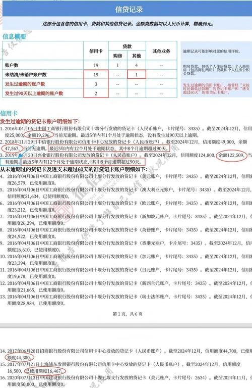 企业征信报告、贷款车辆与公司担保，风险与机遇的交织