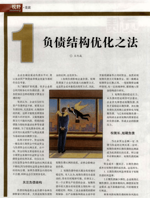 债务优化问题及债务优化的具体操作方法