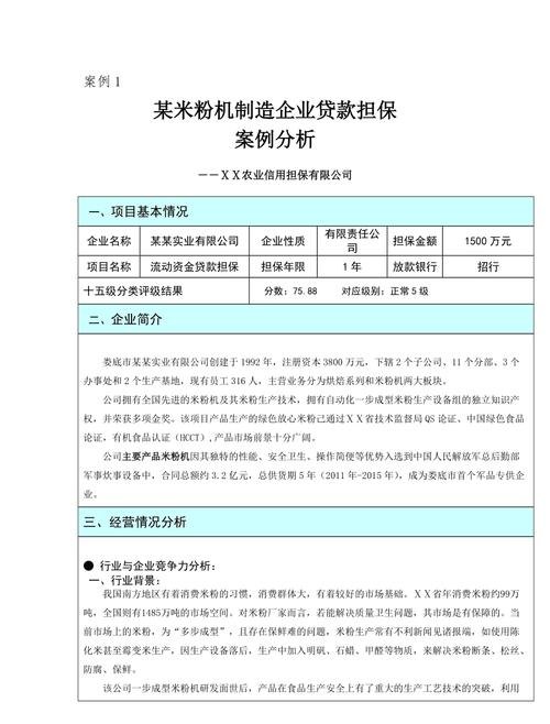 企业抵押贷款的案例分析