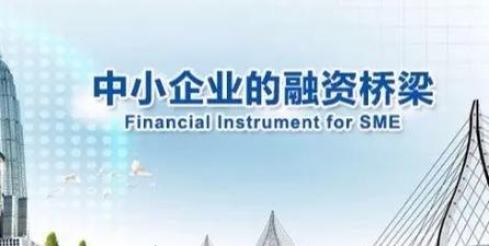 担保公司，中小企业贷款的桥梁与保障