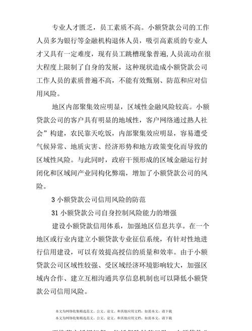 企业利用公司贷款的风险与应对策略