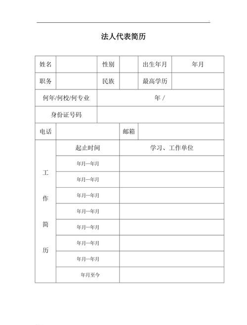 银行贷款用企业法人简历