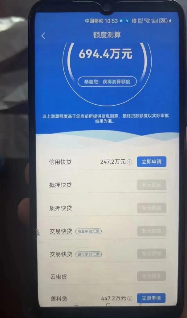 企业芝麻信用贷款额度，助力企业发展的新引擎