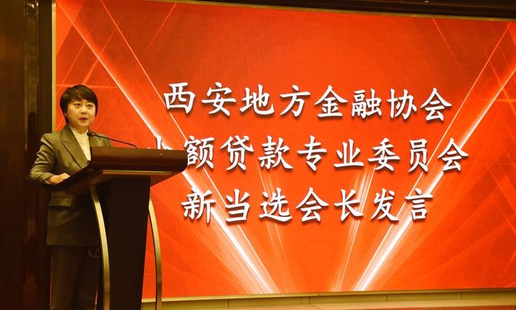 西安企业信用贷款公司，助力企业发展的金融力量