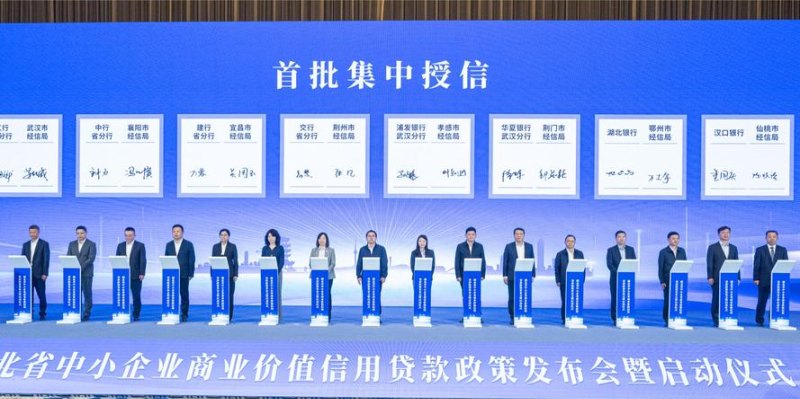 上海开通企业信用担保贷款业务，助力企业发展的新引擎