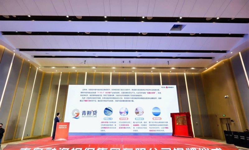 青岛企业税款抵押贷款,助力企业发展的创新金融模式