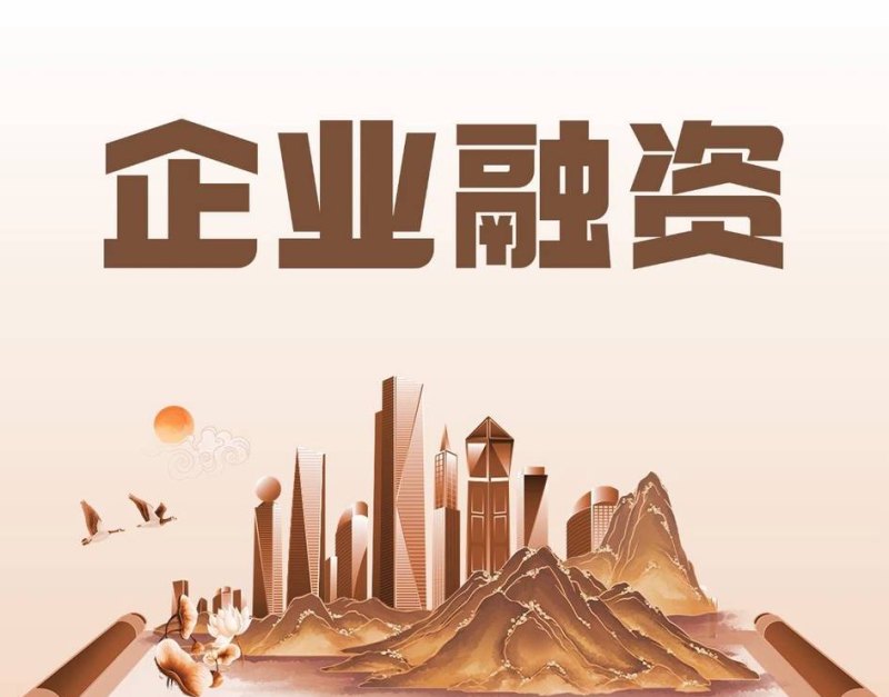 小微企业贷款300万免抵押，助力企业腾飞的新契机