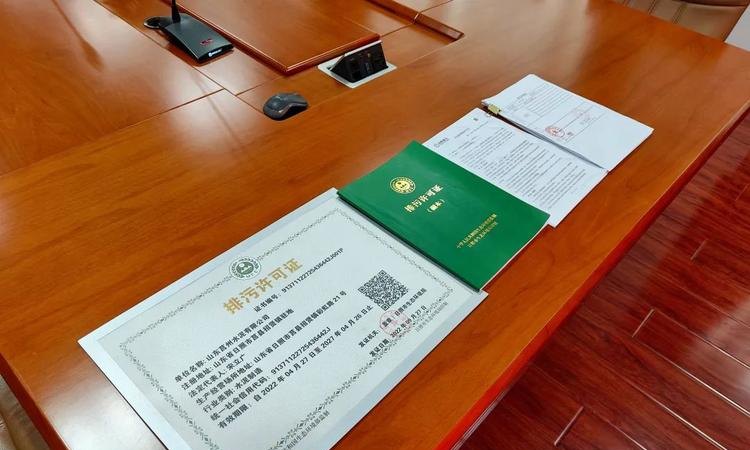 企业排污许可证抵押贷款，创新模式与发展机遇