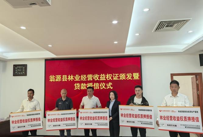 综合授信,银行助力企业发展的重要金融工具