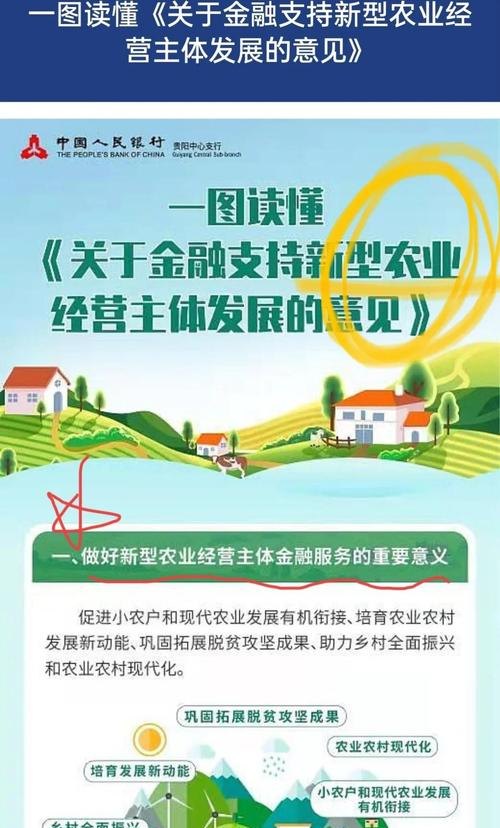 涉农涉贫企业协调融资贷款业务，助力乡村振兴与脱贫攻坚的关键举措